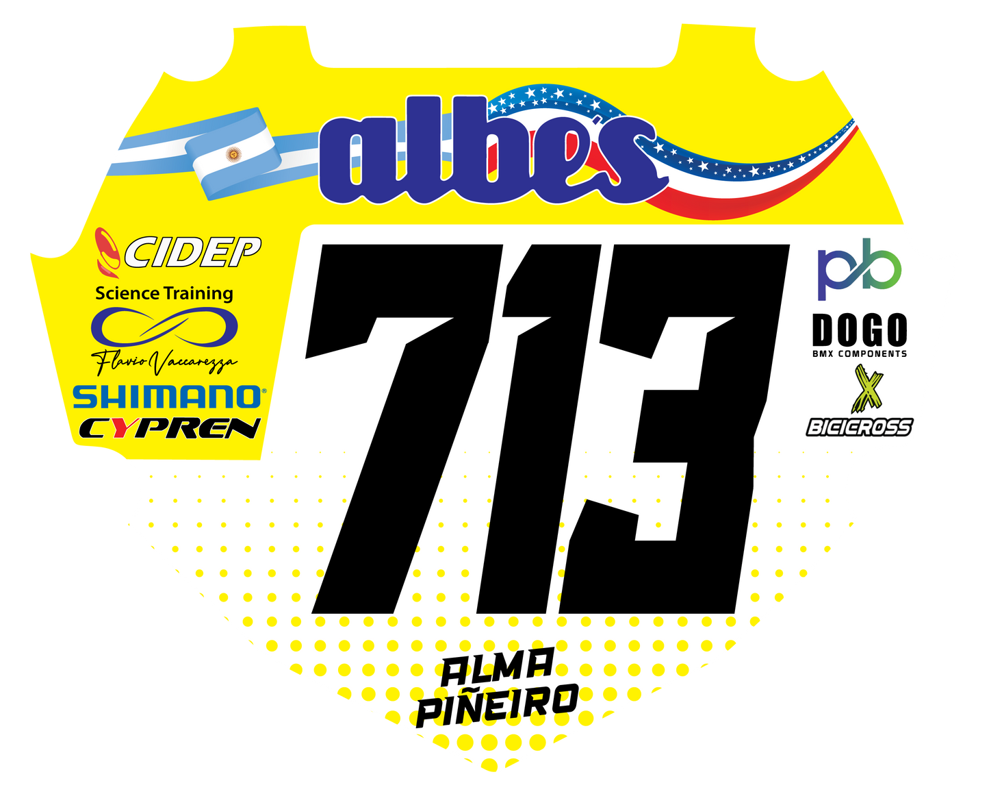 Custom BMX race number plate insert